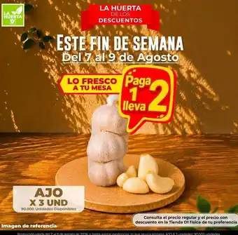 La huerta - ajo