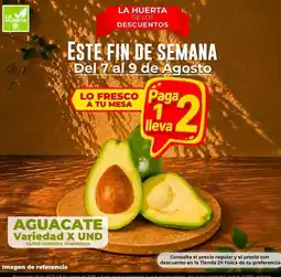 Tiendas D1 La huerta - aguacate oferta