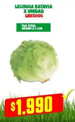 Mercapava Lechuga batavia oferta