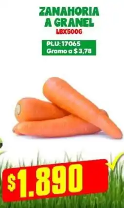 Mercapava Zanahoria a granel oferta