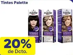 La Gran Colombia Schwarzkopf Palette oferta