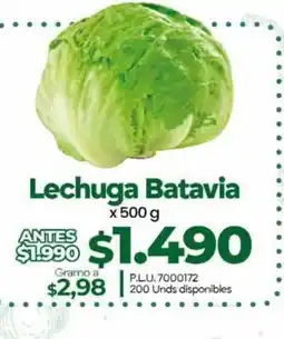 Supermercados Surtiplaza Lechuga Batavia oferta