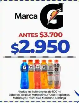 Supermercados Surtiplaza Marca G oferta