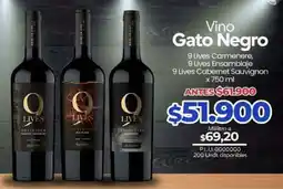 Supermercados Surtiplaza Gato Negro Vino oferta
