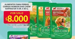 Ara Dog Chow oferta