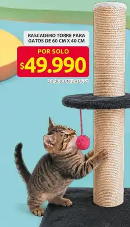Ara Rascadero torre para gatos oferta
