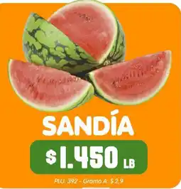 Surtifamiliar Sandía oferta