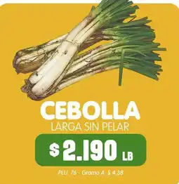 Surtifamiliar Cebolla larga sin pelar oferta