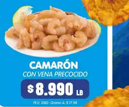 Surtifamiliar Camarón con vena precocido oferta