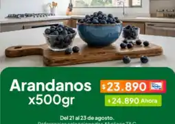 Jumbo Arandanos oferta