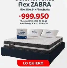 Olímpica Zabra - flex zabra oferta