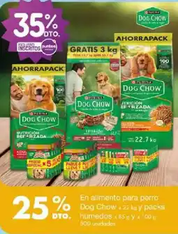 Jumbo Dog Chow oferta