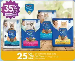 Jumbo Purina Cat Chow oferta