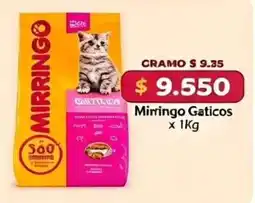 El Cámbulo Mirringo Gaticos oferta