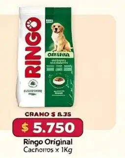 El Cámbulo Ringo Original oferta