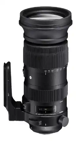 Falabella Lente 60-600mm F4.5-6.3 Dgdns-se oferta