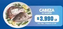 Surtifamiliar Cabeza de salmón oferta