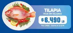 Surtifamiliar Tilapia roja sin escamas oferta