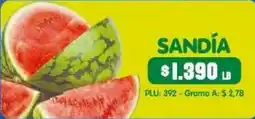 Surtifamiliar Sandía oferta