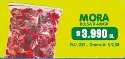 Surtifamiliar Mora oferta