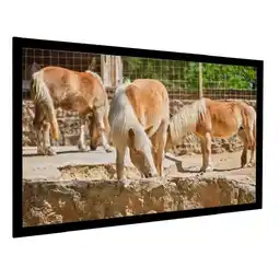 Falabella Pantalla Marco De Lujo 205 X 116 Telón Formato 16:9 oferta
