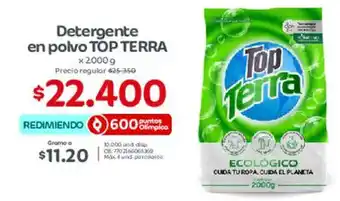 Top Terra Detergente en polvo