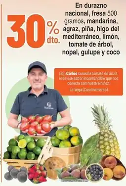 Alkosto Don Carlos fresas 500 gramos oferta
