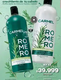 Loguin Hair - shampoo y acondicionador romero oferta