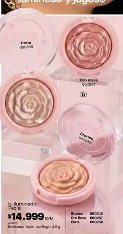 Loguin Natura - iluminador facial 680268, 680267, 680240 oferta