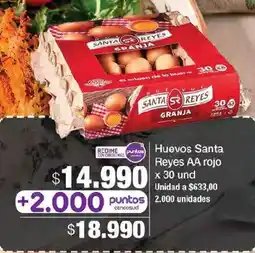 Jumbo Huevos Santa Reyes AA rojo oferta