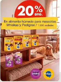 Metro Whiskas y Pedigree oferta