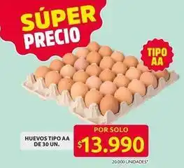 Ara Huevos tipo aa oferta
