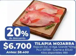 Belalcazar Tilapia mojarras oferta