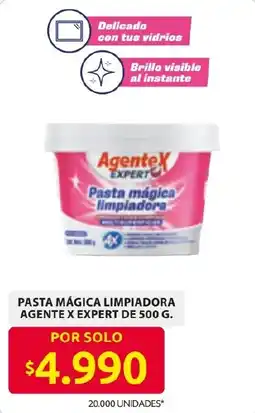 Ara Agente X Expert Pasta mágica limpiadora oferta