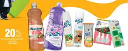 Jumbo Pinolina y Bonaire oferta