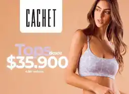 Jumbo Cachet tops oferta