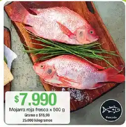 Jumbo Mojarra roja fresca oferta