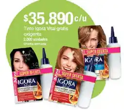 Jumbo Igora vital oferta
