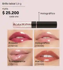 Natura Brillo labial oferta