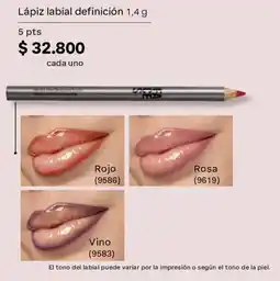 Natura Lápiz labial definición oferta