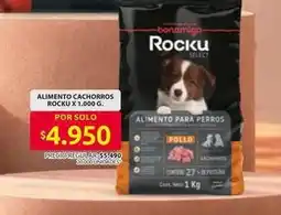 Ara Alimento cachorros rocku x 1.000 g oferta