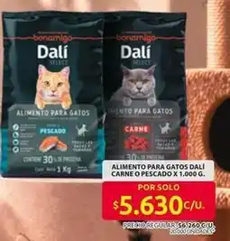 Ara Alimento para gatos dali carne o pescado oferta