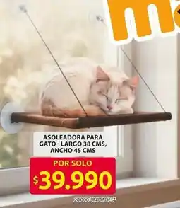 Ara Asoleadora para gato oferta