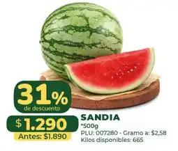Belalcazar Sandia oferta