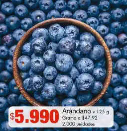 Metro Arándano oferta