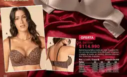 Leonisa Media - soutien wow oferta