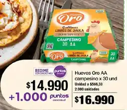 Jumbo Huevos Oro campesino oferta