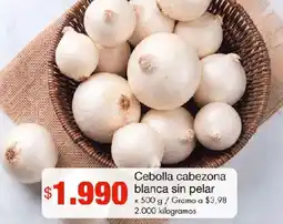 Metro Cebolla cabezona blanca sin pelar oferta