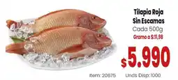 MercaTodo Tilapia Roja Sin Escamas oferta