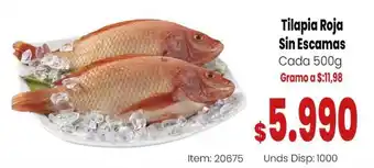 Tilapia Roja Sin Escamas